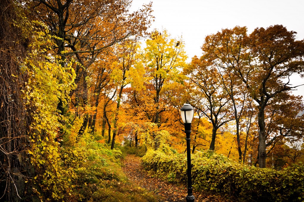 NEW YORK:  FORT TRYON PARK